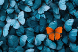 how to rank in ai mode, orange butterfly standing out agains all blue butterflies