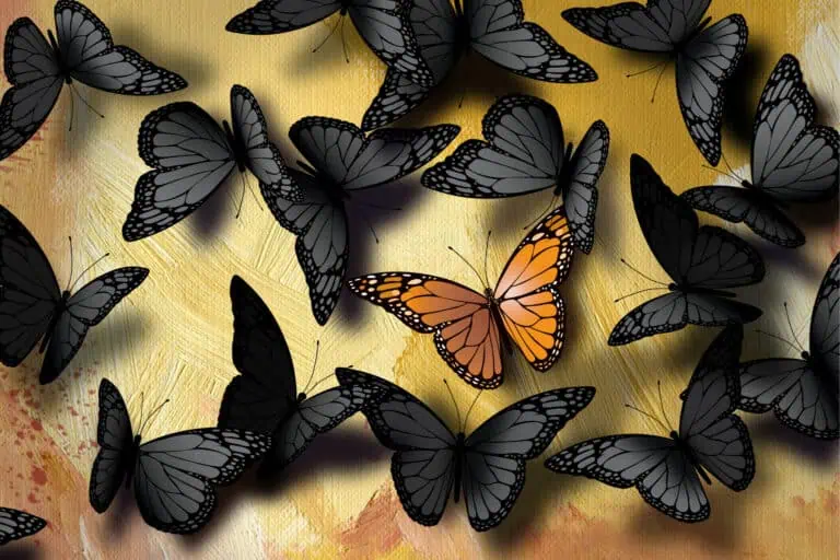 Unique content writing, monarch butterfly amongst black butterflys