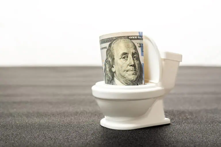 tiny toilet with money inside