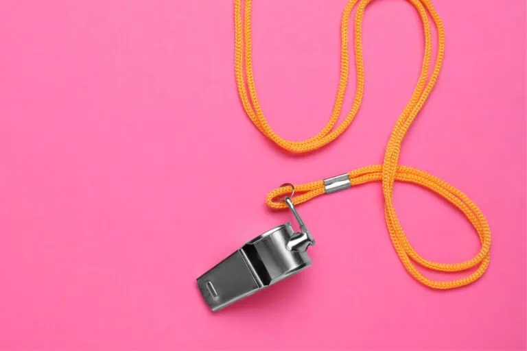 whistle on pink background, marketing coach