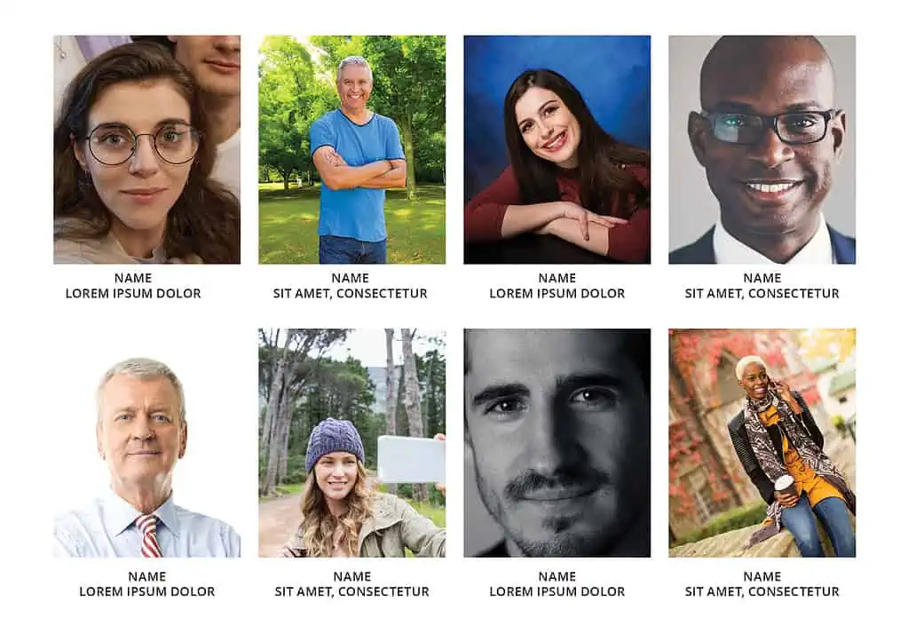 Portrait of diverse smiling professionals with different backgrounds, emphasizing inclusion and communication for brighter messaging.